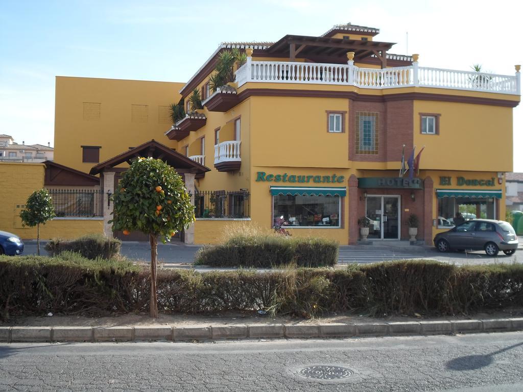 Hotel El Doncel Atarfe المظهر الخارجي الصورة